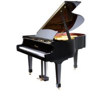HM172黑色亮光